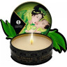 Набор SHUNGA GEISHA'S SECRETS ORGANICA - EXOTIC GREEN TEA (ОРГАНИКА - ЭКЗОТИЧЕСКИЙ ЗЕЛЕНЫЙ ЧАЙ) 8211 SG